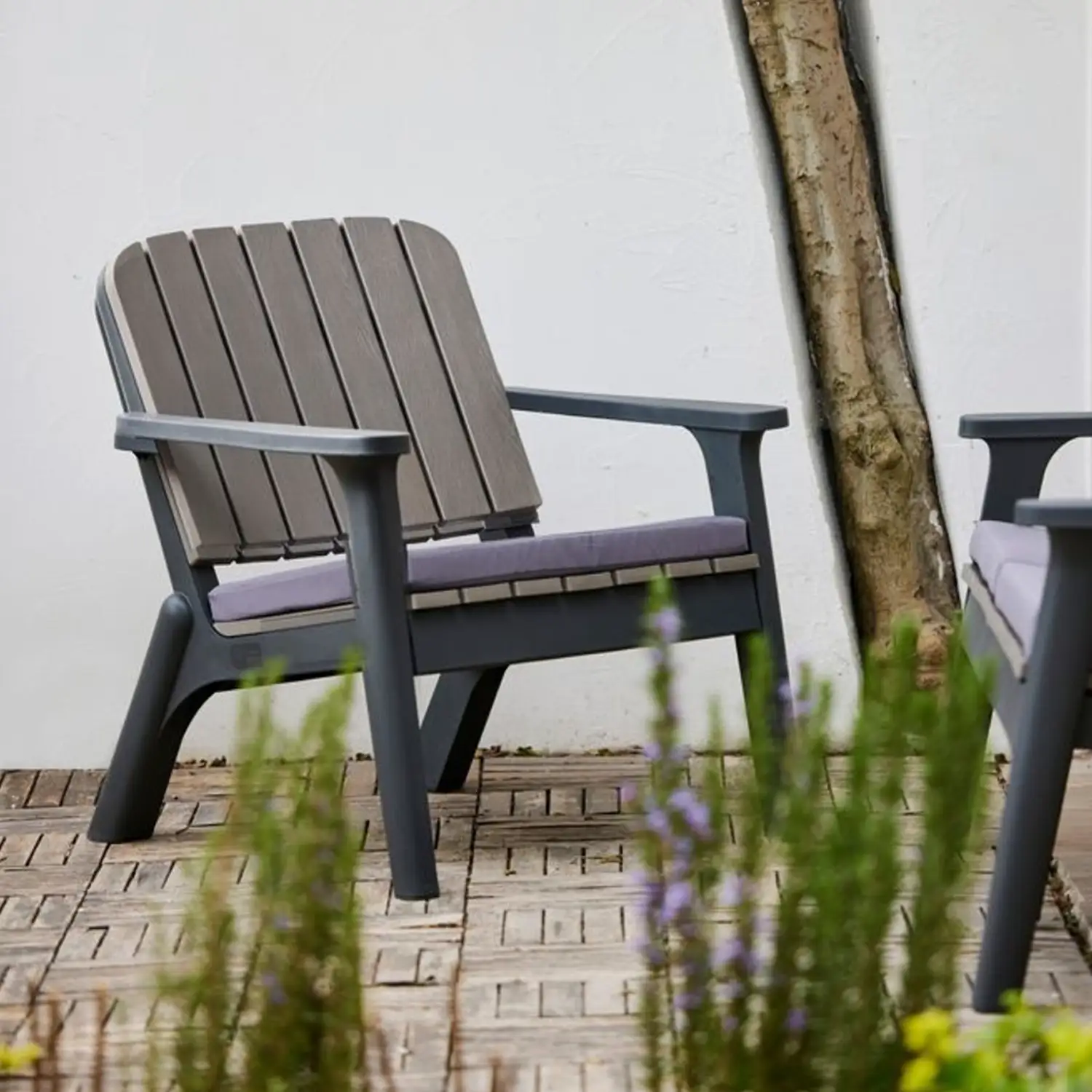 Armchair SILVA Armchair SILVA - Image 5